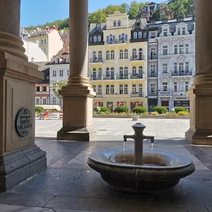Ubytovani Ester - Utulny Byt V Lazenskem Centru Karlovych Varu Se Zahradkou Karlsbad